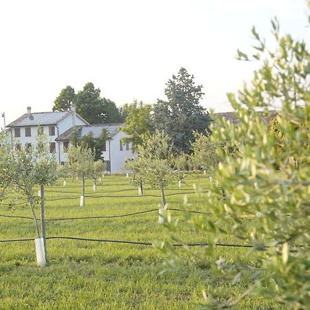 Vigolzone Casa Di Alba - Alloggi Turistici 아파트 외부 사진